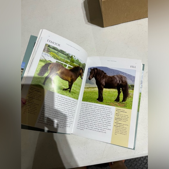 HORSE BOOK - Picture 4 of 4